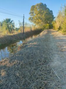 Limpieza de la acequia 'les escoletes' de El Palmar